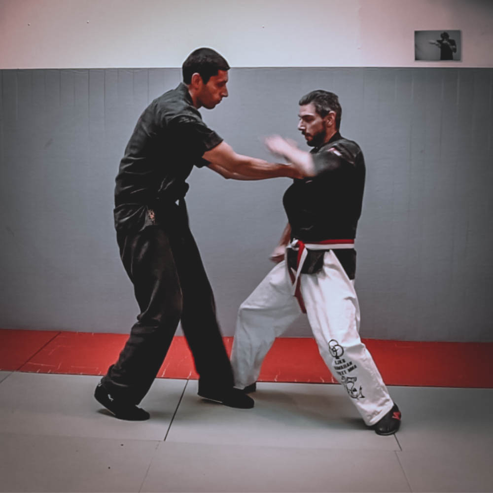 Cours De Kajukenbo à Paris - Auto Défense Et Free Fight - Cercle Tissier